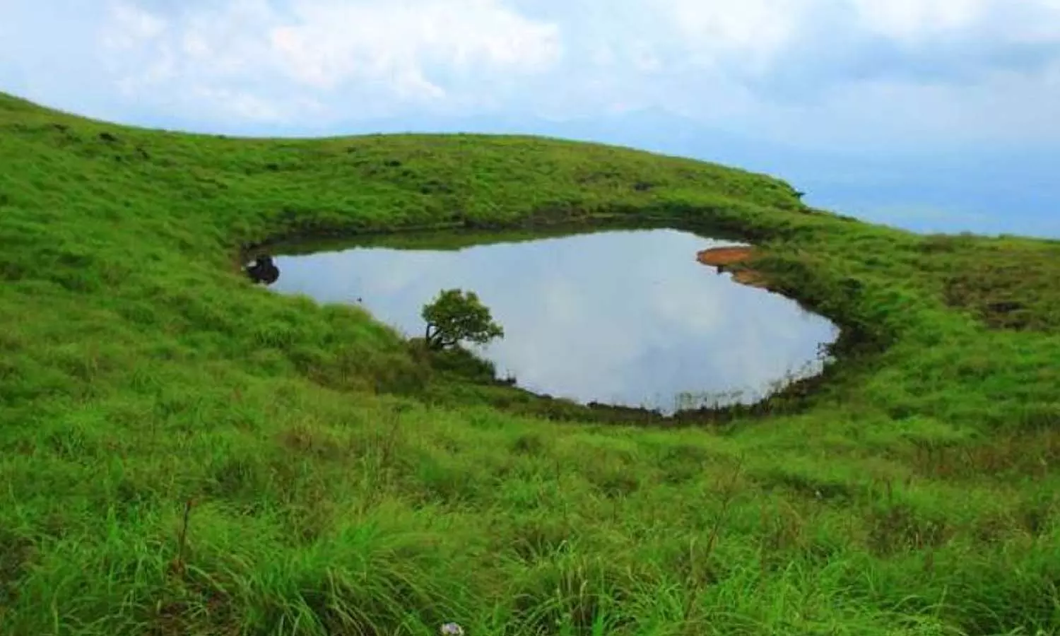 വയനാട് ചെമ്പ്ര പീക്ക് ഇക്കോ ടൂറിസം ഫണ്ട് തിരിമറിയിൽ മൂന്ന് ജീവനക്കാര്‍ക്ക് സസ്‌പെൻഷൻ