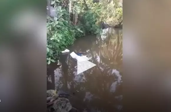 mob throws EVM in a pond mob throws EVM in a pond