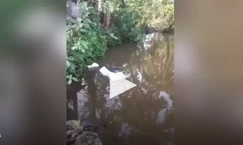 mob throws EVM in a pond