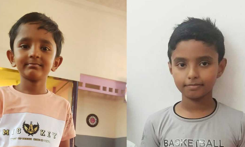 Two brothers drown at pond