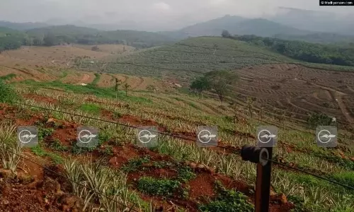 കേരളത്തിലെ ഭൂപ്രശ്‌നം, ഭൂരാഹിത്യം, ഭൂരഹിതര്‍, ഭൂമി കയ്യേറ്റം