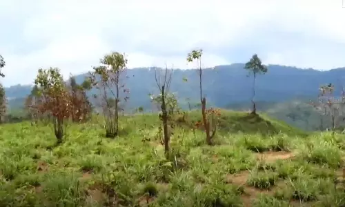 move for a protected forest in Chinnakanal