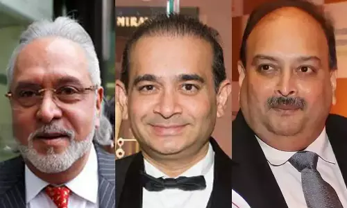 Vijay Mallya, Nirav Modi Fled As Probe Agencies Didnt Arrest Them At Proper Time Says Court Vijay Mallya, Nirav Modi Fled As Probe Agencies Didnt Arrest Them At Proper Time Says Court