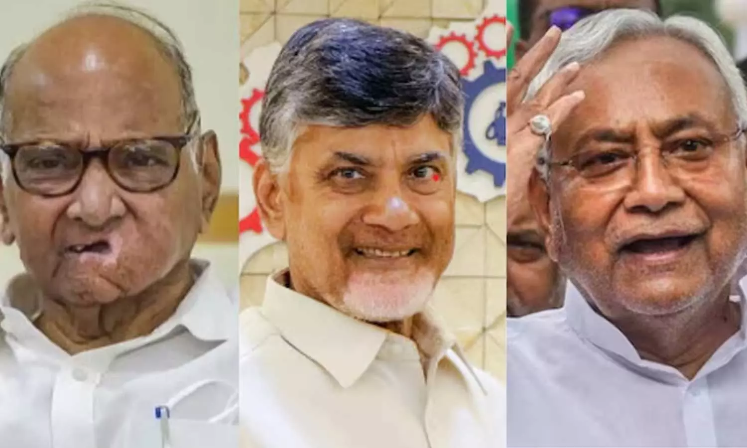 sarath pawar chandra babu naidu, nithish kumar sarath pawar chandra babu naidu, nithish kumar
