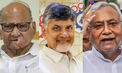 sarath pawar chandra babu naidu, nithish kumar