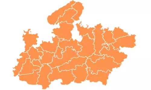 Madhya Pradesh supported the BJP in the Lok Sabha elections