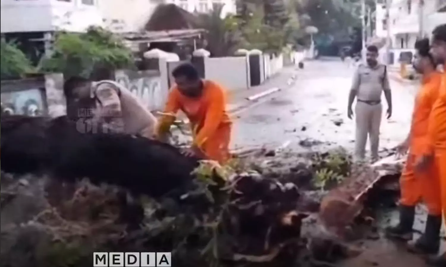 Fort Kochi,rain,ശക്തമായ കാറ്റ്,ഫോര്‍ട്ട് കൊച്ചി,കാലവര്‍ഷക്കെടുതി, വീടിന് മുകളില്‍ മരം വീണു