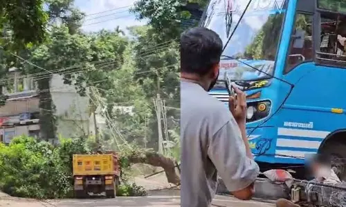 മലപ്പുറത്ത് മരക്കൊമ്പ് പൊട്ടി വീണ് ഇലക്ട്രിക് പോസ്റ്റുകൾ തകർന്നു; വിദ്യാർഥിക്ക് പരിക്ക്