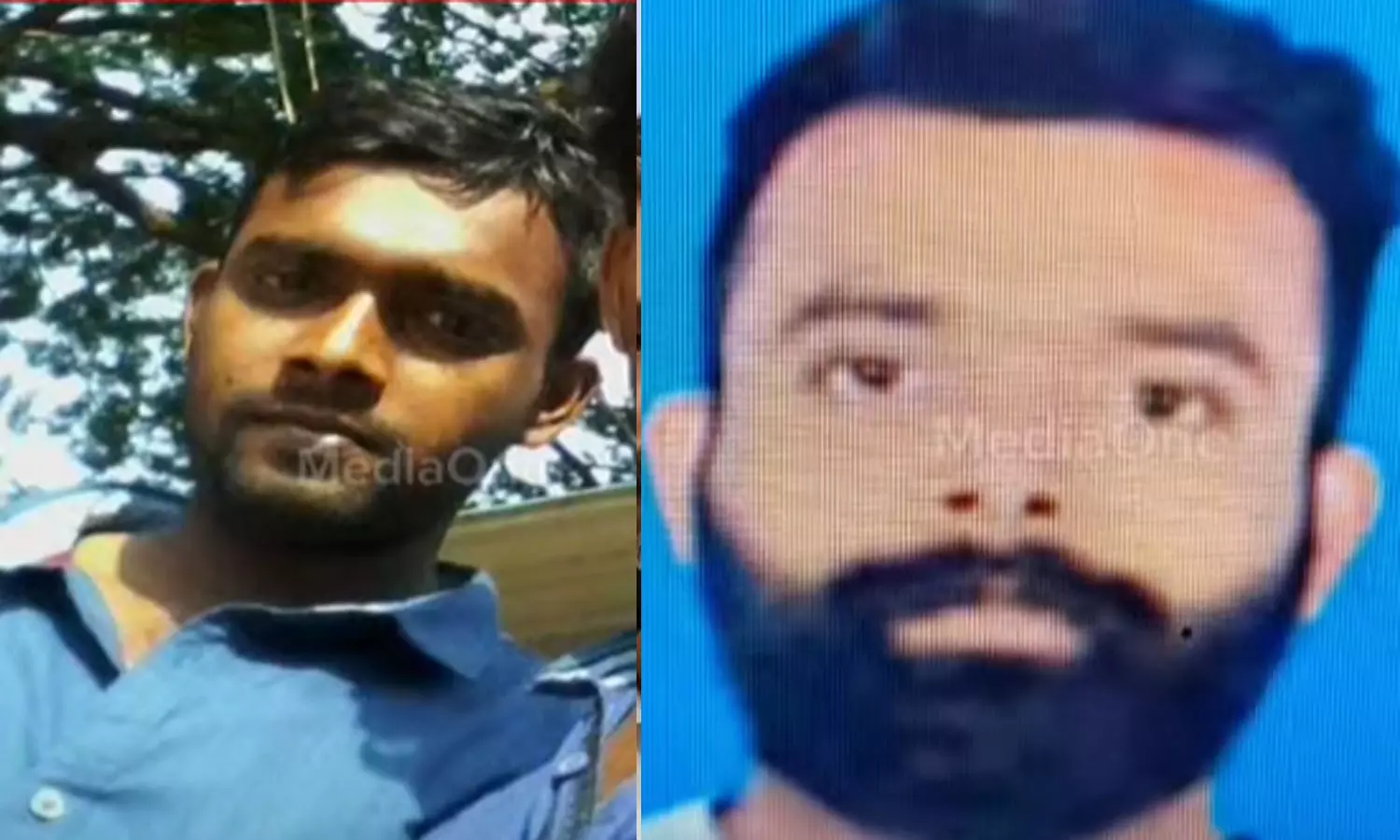 organ trade organ trade