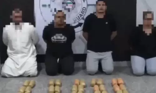 50 kg of cannabis worth one and a half lakh dinars seized in Kuwait 50 kg of cannabis worth one and a half lakh dinars seized in Kuwait