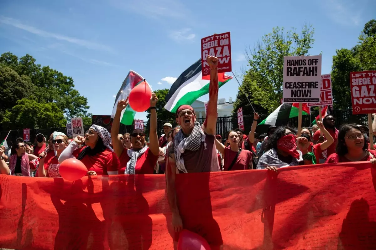 Pro-Palestinian protest