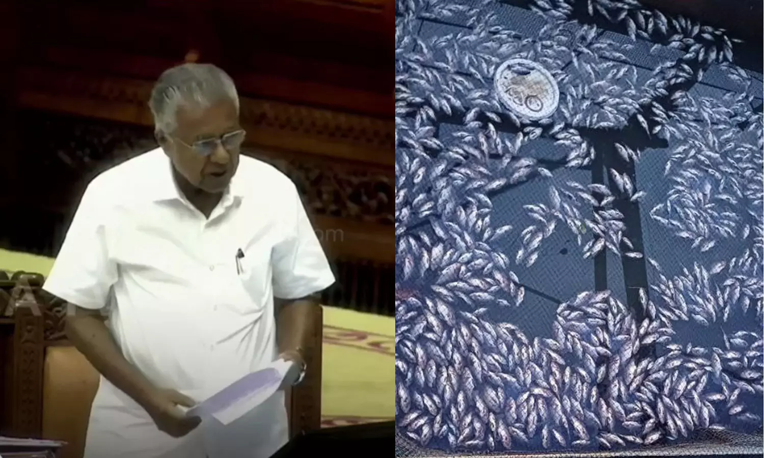 Periyar fish kill,pinarayi vijayan,periyar,fishkill,latest malayalam news,പെരിയാര്‍ മത്സ്യക്കുരുതി,പെരിയാര്‍ മലിനീകരണം,ഏലൂര്‍,മുഖ്യമന്ത്രിയുടെ മറുപടി,നിയമസഭാ സമ്മേളനം