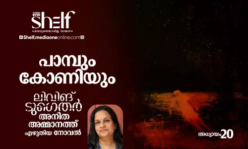 പാമ്പും കോണിയും - ലിവിങ് ടുഗെതര്‍ | നോവല്‍