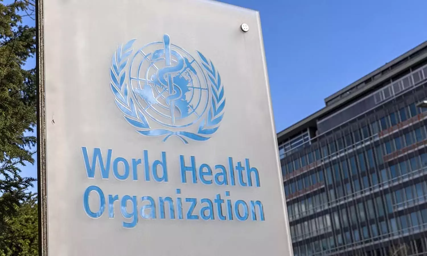 world health organisation