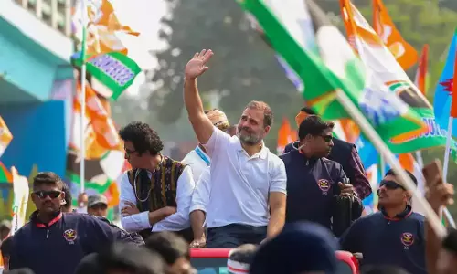 rahul gandhi wayanad