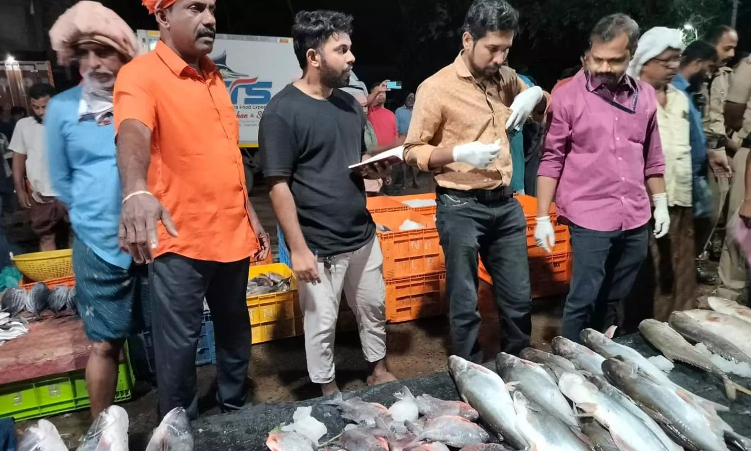 food safety inspection