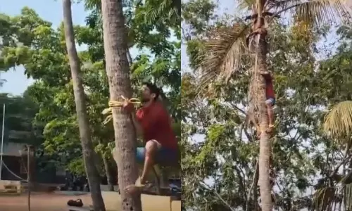 viral video,vadakara,തെങ്ങില്‍ കയറി അധ്യാപകന്‍,ലിനീഷ്,മണിയൂര്‍ സ്കൂള്‍,വൈറല്‍ വീഡിയോ