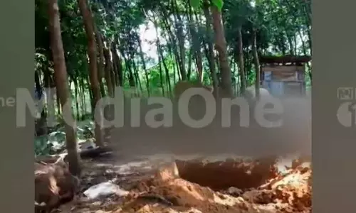 ate too much porotta; Five cows died