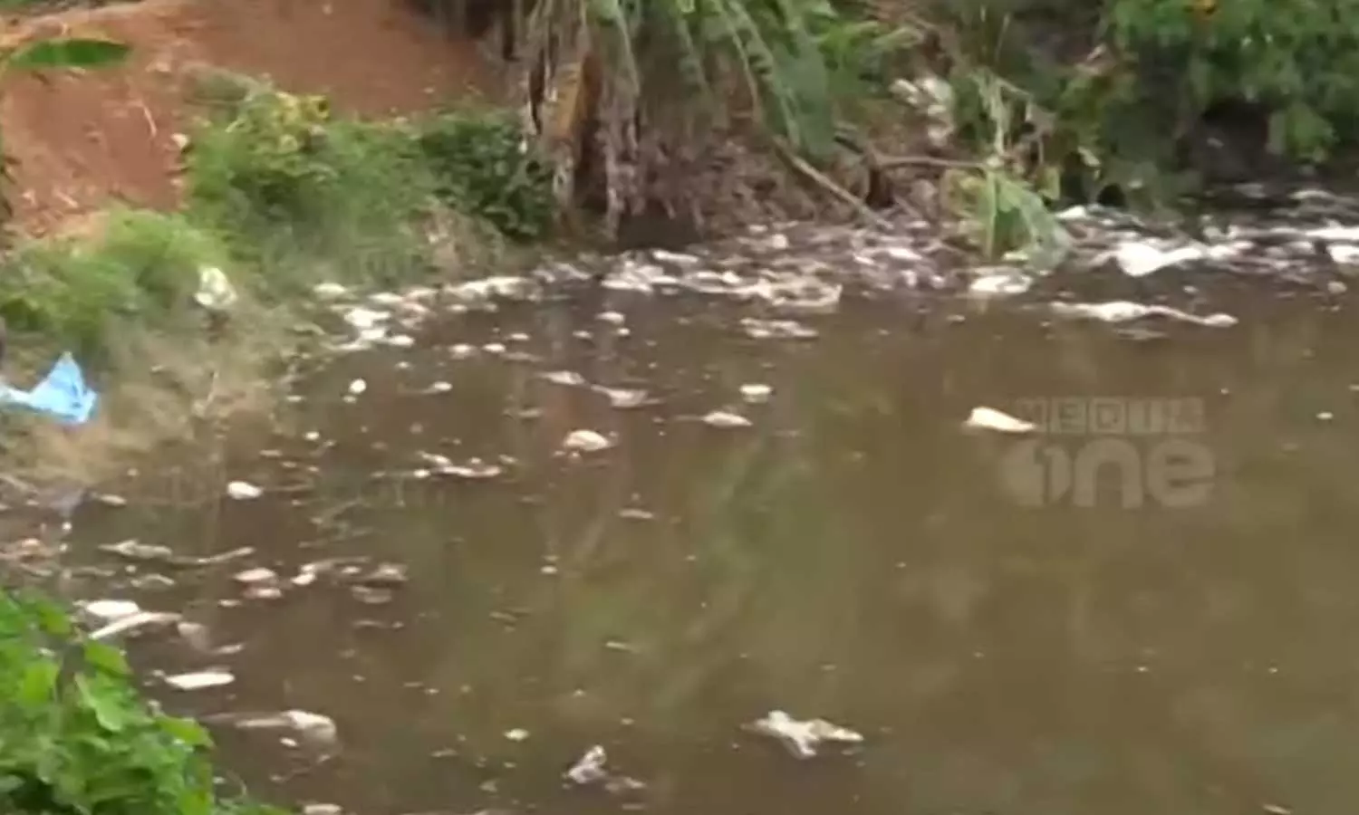 Complaint that huge amount of garbage was dumped at Quarry