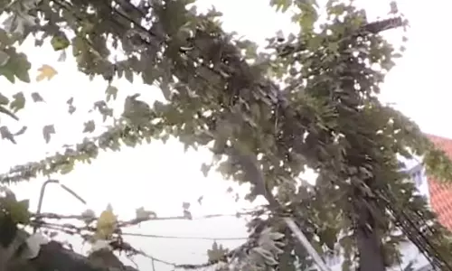 The danger of spreading; KSEB took action after Mediaone news