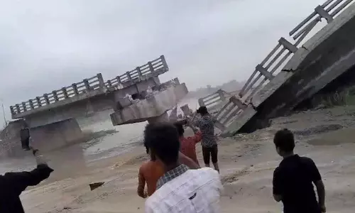 Built For ₹ 12 Crore, Bridge In Bihar Collapses Before Inauguration