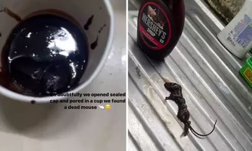 Hershey,HersheyChocolate Syrup,Dead Mouse In Hershey,Food,food safety, Video,ഹെർഷെയുടെ ചോക്ലേറ്റ് സിറപ്പ്,ചോക്ലേറ്റ് സിറപ്പില്‍ ചത്ത എലി,ഹെർഷെ ചോക്ലേറ്റ് സിറപ്പ്
