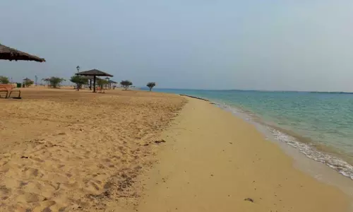 Qatar Department of Wildlife Conservation has launched an inspection campaign