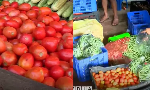 vegetable price hike,kerala,latest malayalam news,പച്ചക്കറി വില കുതിച്ചുയര്ന്നു,വിലക്കയറ്റം, vegetable price hike,kerala,latest malayalam news,പച്ചക്കറി വില കുതിച്ചുയര്ന്നു,വിലക്കയറ്റം,
