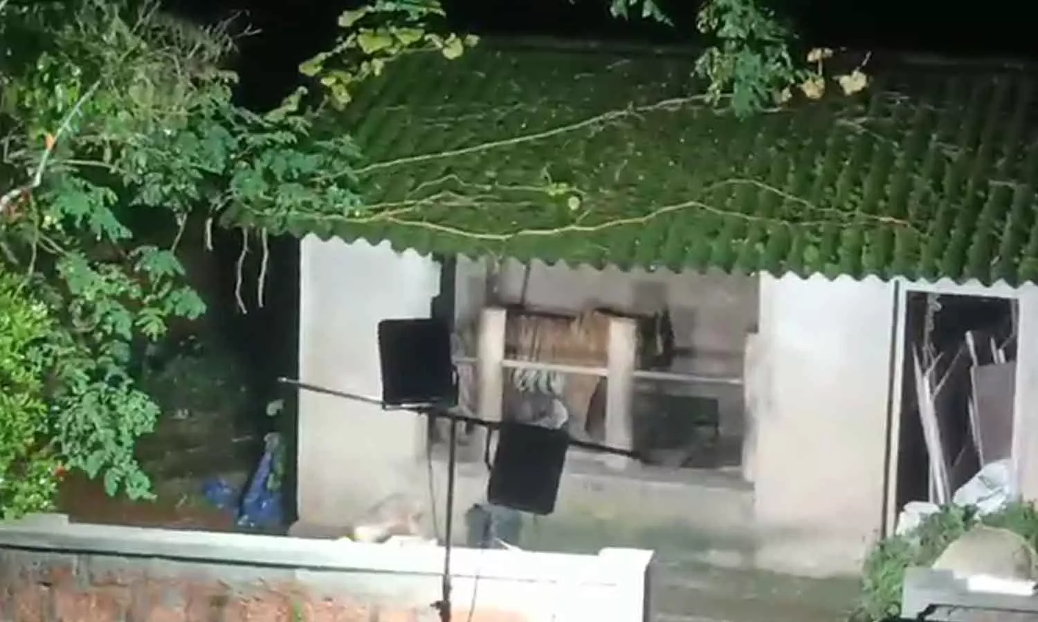 Tiger attack wayanad