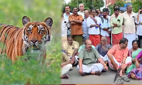 tiger fear Prohibitory order announced in Wayanad,latestnews,കടുവാ ഭീതി; വയനാട്ടിൽ നിരോധനാജ്ഞ പ്രഖ്യാപിച്ചു