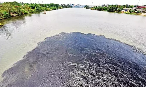 periyar pollution