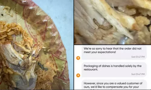 Maggot in Biryani