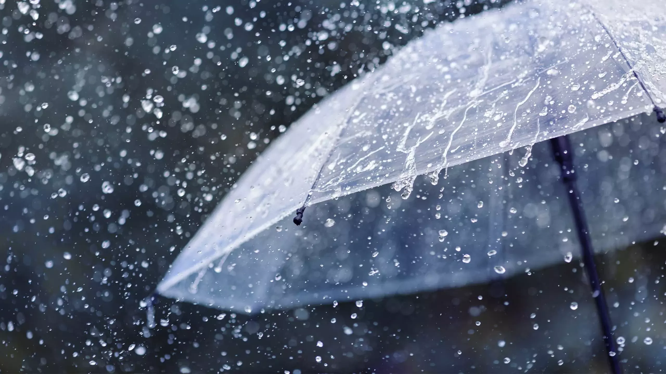 rain; including professional colleges in Kottayam district  Holiday tomorrow,latets news malayalam,മഴ; കോട്ടയം ജില്ലയിൽ  പ്രൊഫഷണൽ കോളേജുകളുള്‍പ്പെടെ  നാളെ അവധി