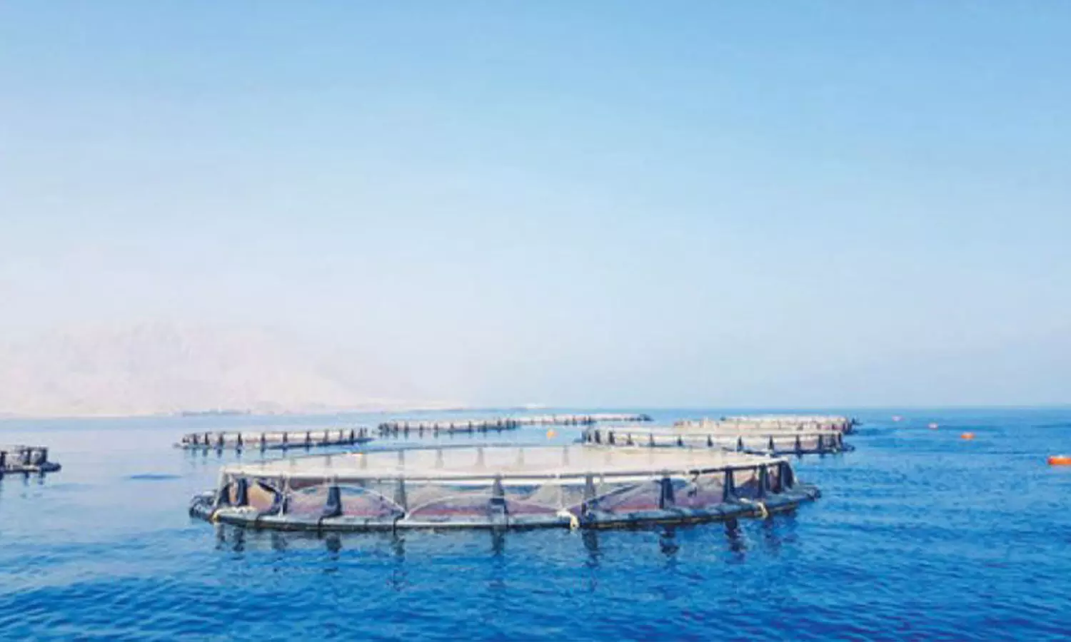 മസ്കത്തിൽ 30 മില്യൺ റിയാൽ ചെലവിൽ പുതിയ മത്സ്യകൃഷി പദ്ധതി മസ്കത്തിൽ 30 മില്യൺ റിയാൽ ചെലവിൽ പുതിയ മത്സ്യകൃഷി പദ്ധതി