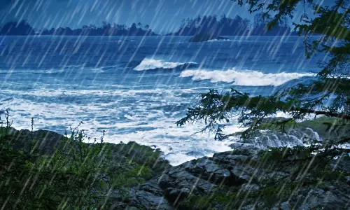 heavy rain heavy rain