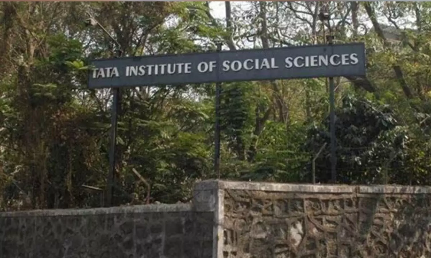 TISS terminates ,Tata Education Trust,TATA Institute of Social Sciences (TISS),ടിസി,ടാറ്റ,കൂട്ടപ്പിരിച്ചുവിടല്‍,മുംബൈ