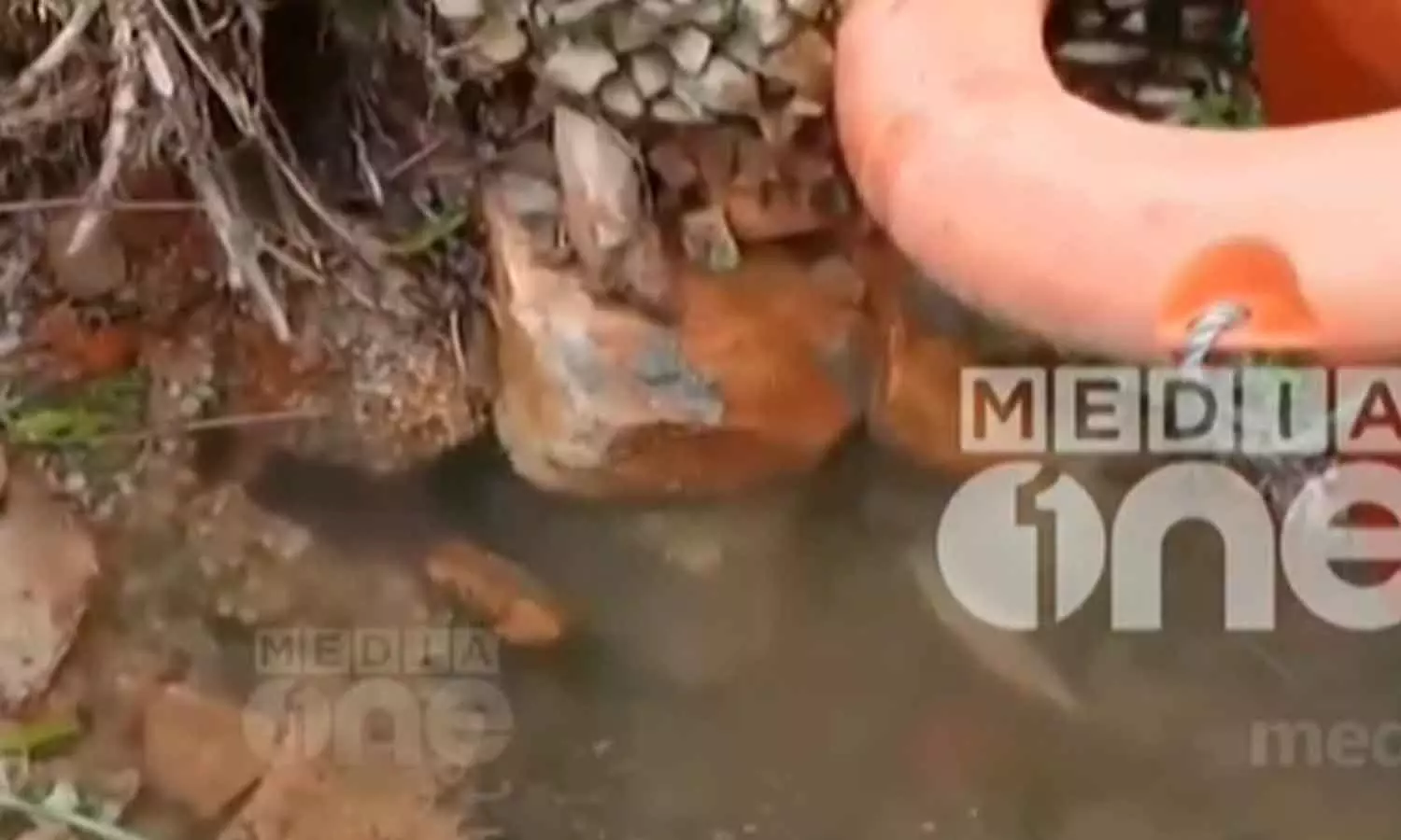 Periyar river pollution; samples collected Periyar river pollution; samples collected