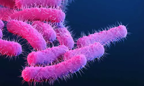 Shigalla in Malappuram; The students of Vennayur AMLP School are infected,latest malayalam news