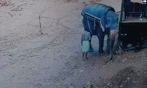 The incident of Papan being trampled by an elephant in Kallar is shocking: High Court,latest news