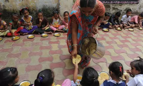 Dead snake found in mid-day meal packet Dead snake found in mid-day meal packet