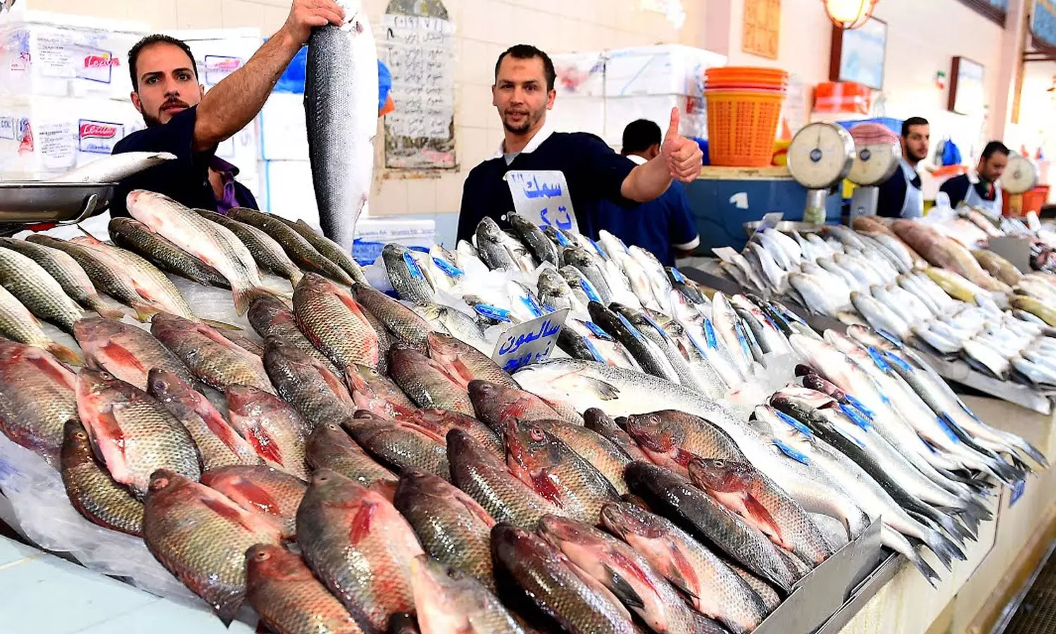 തൊട്ടാൽ പൊള്ളും മുള്ളറ്റ് ; കുവൈത്തിൽ മീൻ വില വർധിക്കുന്നു