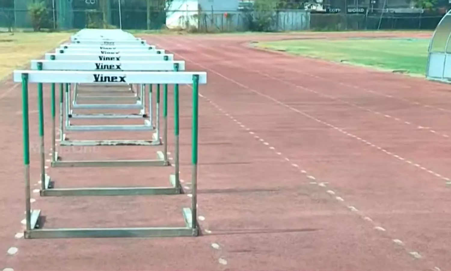 school olympics school olympics