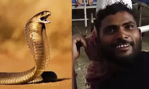 Snake bites man, man bites back at the end reptile died