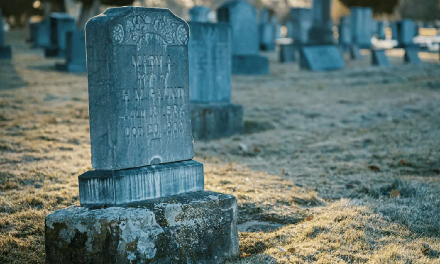 ഒഴിച്ചിട്ട കസേരകൾ, കൊറിക്കാൻ പലഹാരങ്ങൾ; തായ്‌ലൻഡിൽ മരിച്ചവർക്കായി സെമിത്തേരിയിൽ സിനിമാ പ്രദർശനം