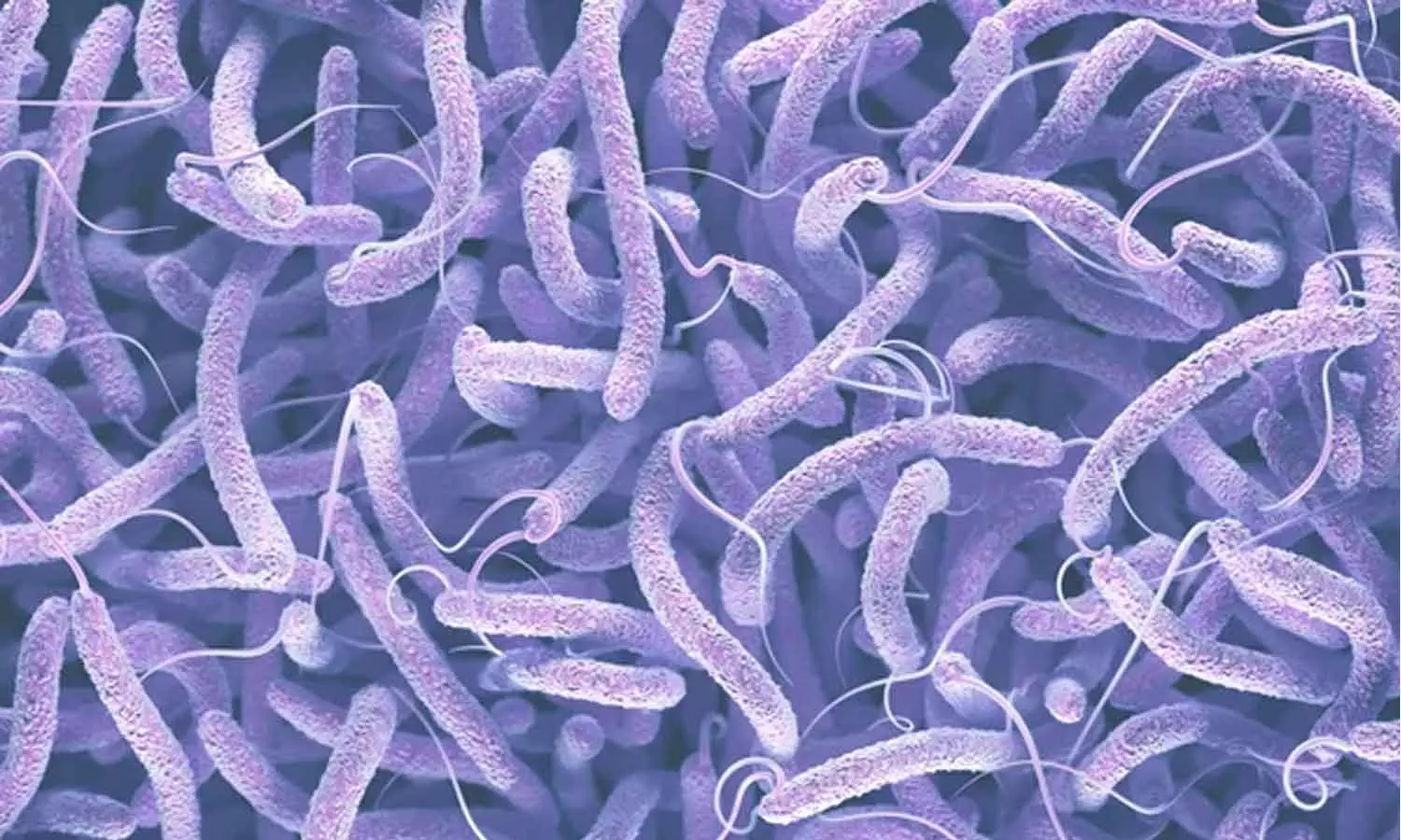 സംസ്ഥാനത്ത് വീണ്ടും കോളറ; തിരുവനന്തപുരത്ത് പത്തു വയസുകാരന് രോഗം സ്ഥിരീകരിച്ചു സംസ്ഥാനത്ത് വീണ്ടും കോളറ; തിരുവനന്തപുരത്ത് പത്തു വയസുകാരന് രോഗം സ്ഥിരീകരിച്ചു