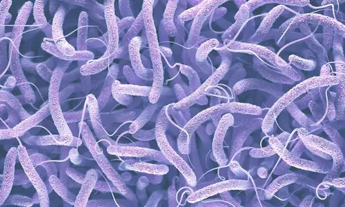 സംസ്ഥാനത്ത് വീണ്ടും കോളറ; തിരുവനന്തപുരത്ത് പത്തു വയസുകാരന് രോഗം സ്ഥിരീകരിച്ചു സംസ്ഥാനത്ത് വീണ്ടും കോളറ; തിരുവനന്തപുരത്ത് പത്തു വയസുകാരന് രോഗം സ്ഥിരീകരിച്ചു