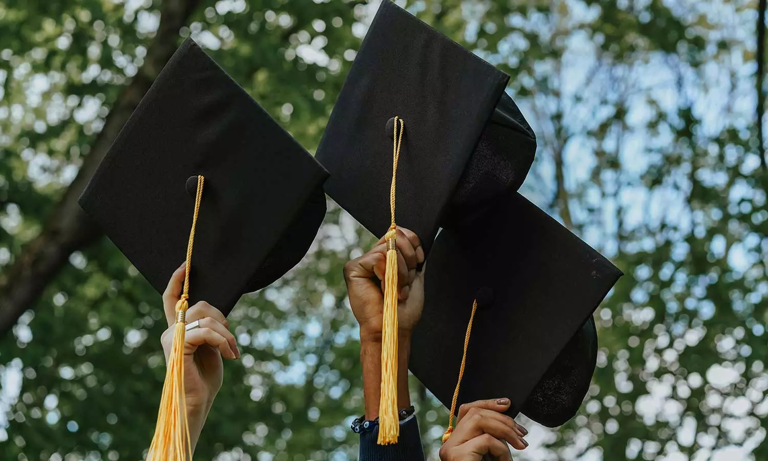 UAE Introduces Phase Two Of ‘University Certificates Recognition’ System UAE Introduces Phase Two Of ‘University Certificates Recognition’ System