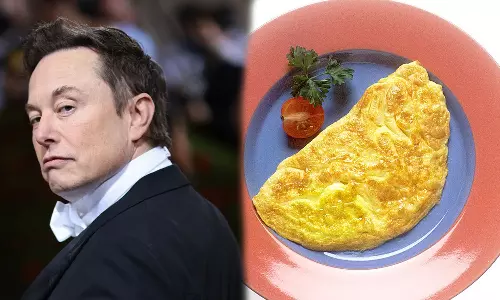 Elon Musk, environmental impact ,SpaceX launch, Starship,ഇലോണ്‍ മസ്ക്,സ്പേഷ് ഷിപ്പ്,ഓംലറ്റ് ഉപേക്ഷിച്ച് മസ്ക്