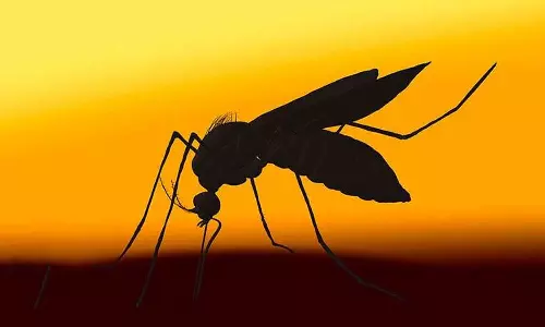 പൊന്നാനിയിൽ മൂന്ന് പേർക്ക് മലമ്പനി; പ്രതിരോധ പ്രവർത്തനങ്ങൾ ഊർജിതമാക്കി