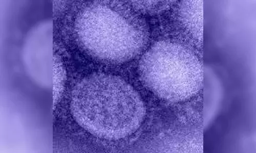 A 54-year-old man died of H1N1 in Thrissur, latest news malayalam, തൃശൂരിൽ എച്ച് 1 എൻ 1 ബാധിച്ച് 54കാരൻ മരിച്ചു